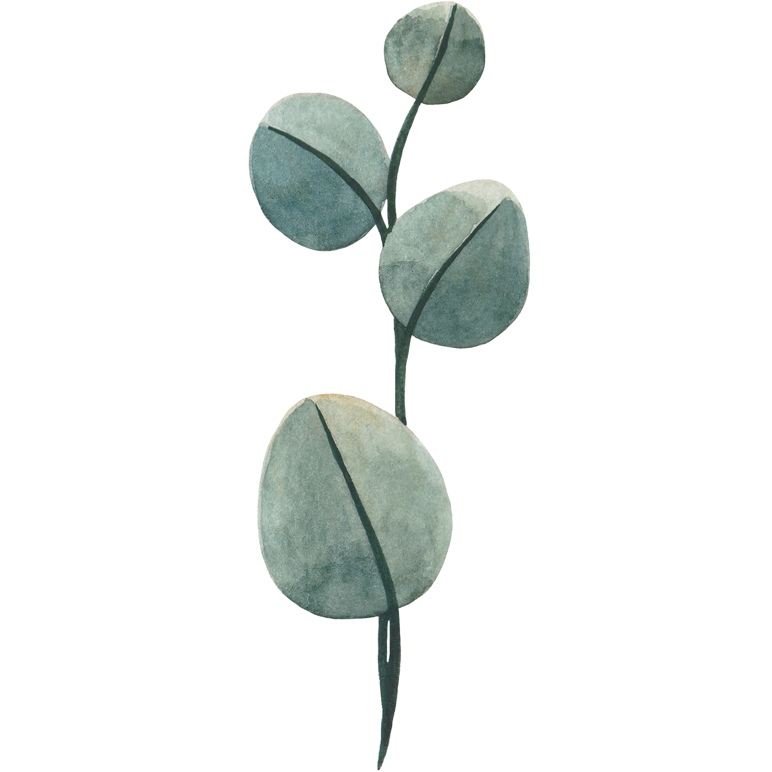 Leaf Accent Left